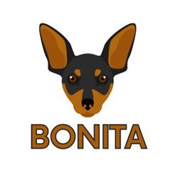 Bonita obsługa BDO KOBiZE - raportowanie ESG Ochrona Środowiska