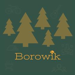 Ośrodek Borowik