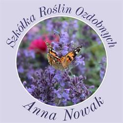 Szkółka Roślin Ozdobnych Anna Nowak