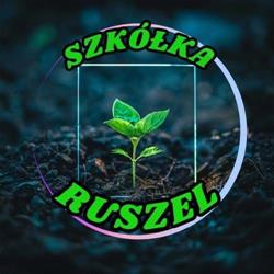 Szkółka Ruszel rośliny ozdobne owocowe krzewy trawy drzewa ogród Poddębice Uniejów Łódź