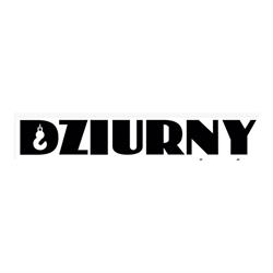Dziurny Wysowa-Service