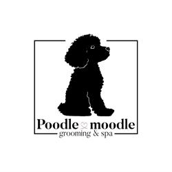 Poodle Moodle Groomer - Psi Fryzjer Bydgoszcz