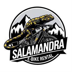 Wypożyczalnia rowerów Salamandra - Krynica