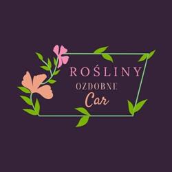 Rośliny Ozdobne Car
