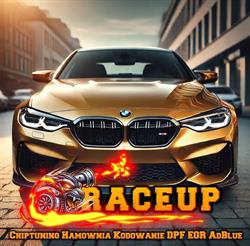 RACEUP Elektronika samochodowa Chiptuning Hamownia EGR DPF Adblue Diagnostyka