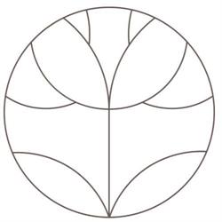 Aroma Studio - gabinet masażu, refleksologii i aromaterapii