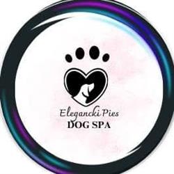 Elegancki Pies Dog Spa