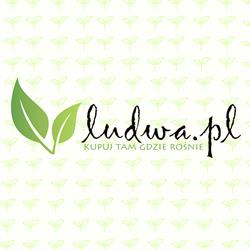 Gospodarstwo Ogrodnicze Bogdan Ludwa