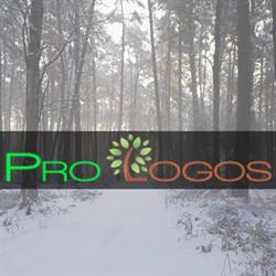 Kursy i Szkolenia Pilarzy - Prologos