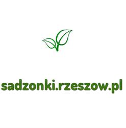 Sadzonki Rzeszów