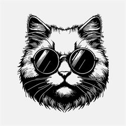 kitku-shop.pl