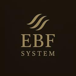 EBF SYSTEM - KLIMATYZACJA MONTAŻ I SERWIS