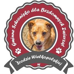 Gminne Schronisko Dla Bezdomnych Zwierząt w Środzie Wielkopolskiej