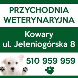 Lecznica dla zwierząt