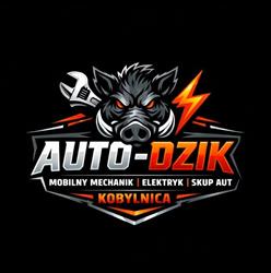 Auto-Dzik Kobylnica - Mobilny Mechanik i Skup Aut