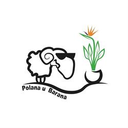Polana u Barana