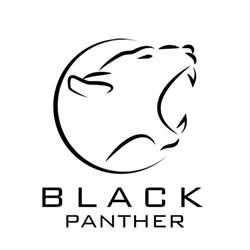 Black Panther Studio