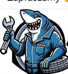 SHARK CAR SERVICE