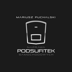 Naprawa Podsufitek Samochodowych
