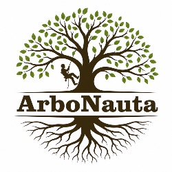 Wycinka i pielęgnacja drzew Warszawa - ArboNauta