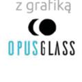 Opinie