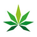 polski cannabis