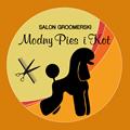 Modny Pies i Kot