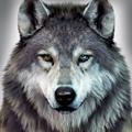 Lone Wolf