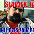 Opinie
