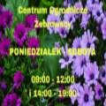 Centrum Ogrodnicze Iława Rolna 7