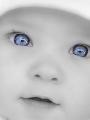 Opinie